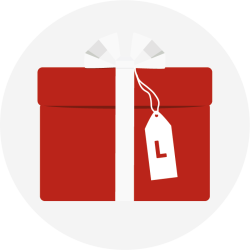 Das Icon für das Paket Large zeigt ein großes rotes Geschenks-Paket mit weißer Schleife.